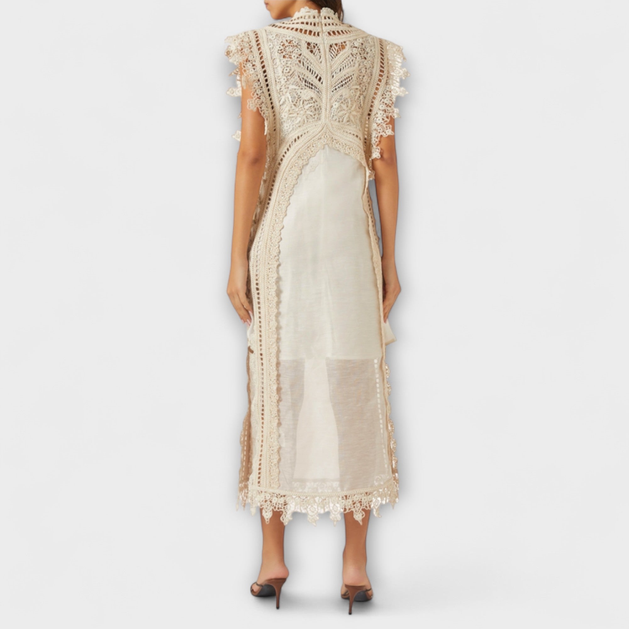 Woven Hollow Organza Maxi Dress
